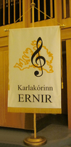 Ernir